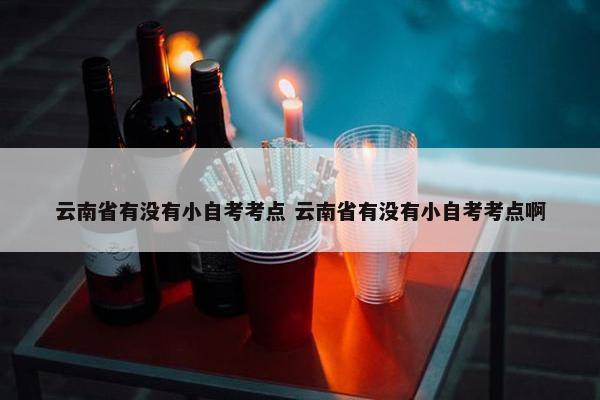 云南省有没有小自考考点 云南省有没有小自考考点啊