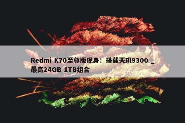 Redmi K70至尊版现身：搭载天玑9300 _最高24GB 1TB组合