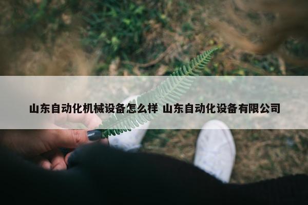 山东自动化机械设备怎么样 山东自动化设备有限公司