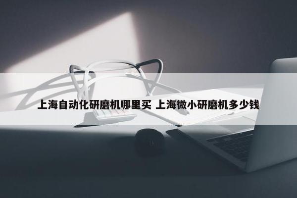 上海自动化研磨机哪里买 上海微小研磨机多少钱