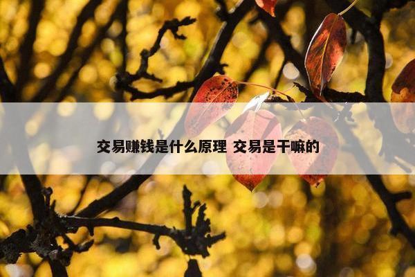 交易赚钱是什么原理 交易是干嘛的