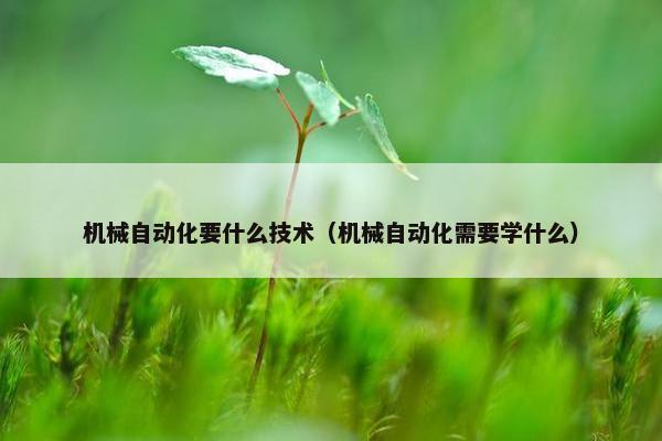 机械自动化要什么技术（机械自动化需要学什么）