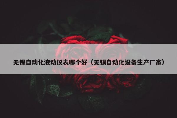 无锡自动化液动仪表哪个好（无锡自动化设备生产厂家）