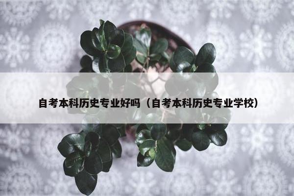 自考本科历史专业好吗（自考本科历史专业学校）