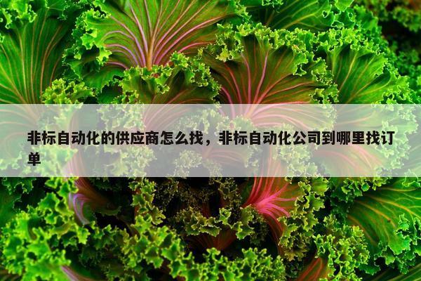 非标自动化的供应商怎么找，非标自动化公司到哪里找订单