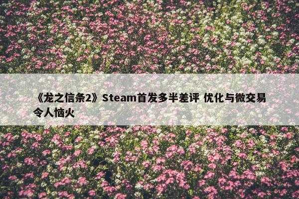 《龙之信条2》Steam首发多半差评 优化与微交易令人恼火