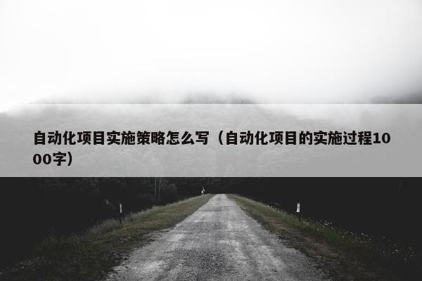 自动化项目实施策略怎么写（自动化项目的实施过程1000字）