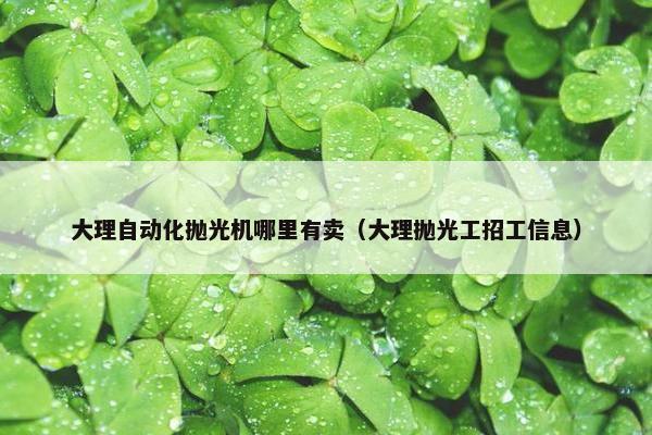 大理自动化抛光机哪里有卖（大理抛光工招工信息）