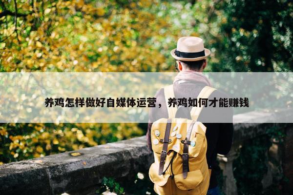 养鸡怎样做好自媒体运营，养鸡如何才能赚钱