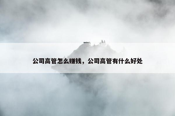 公司高管怎么赚钱，公司高管有什么好处