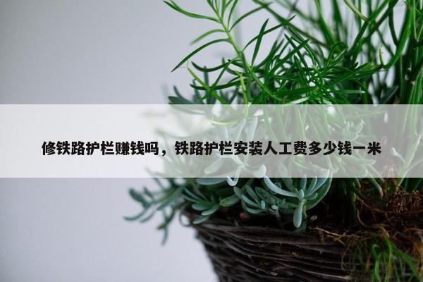 修铁路护栏赚钱吗，铁路护栏安装人工费多少钱一米