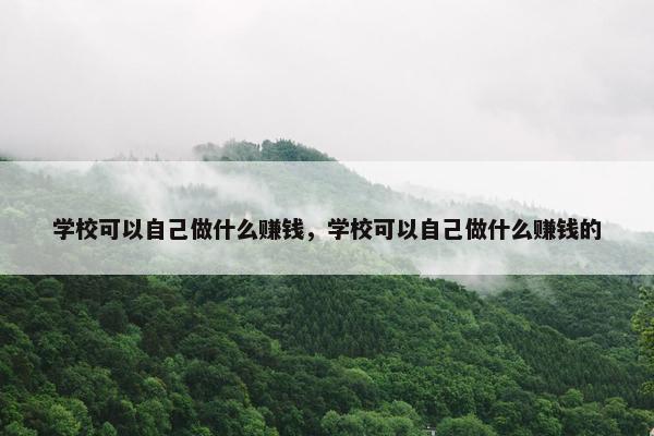 学校可以自己做什么赚钱，学校可以自己做什么赚钱的