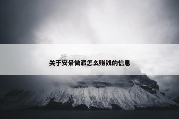 关于安景微派怎么赚钱的信息