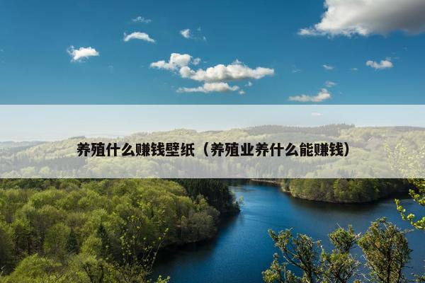 养殖什么赚钱壁纸（养殖业养什么能赚钱）