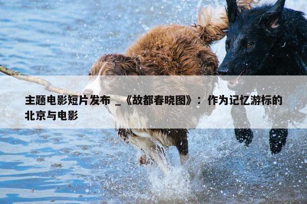 主题电影短片发布 _《故都春晓图》：作为记忆游标的北京与电影