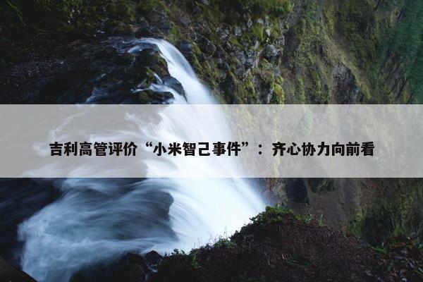 吉利高管评价“小米智己事件”：齐心协力向前看