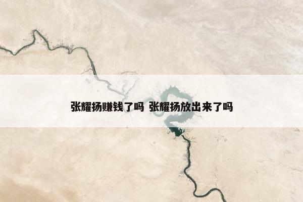 张耀扬赚钱了吗 张耀扬放出来了吗