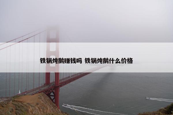 铁锅炖鹅赚钱吗 铁锅炖鹅什么价格