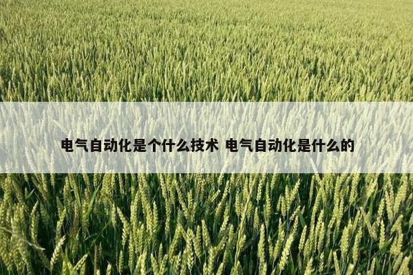 电气自动化是个什么技术 电气自动化是什么的