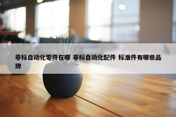 非标自动化零件在哪 非标自动化配件 标准件有哪些品牌