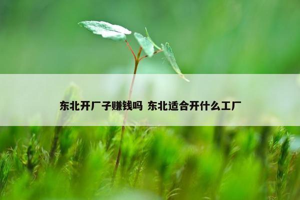 东北开厂子赚钱吗 东北适合开什么工厂