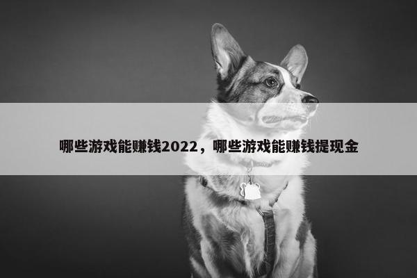 哪些游戏能赚钱2022，哪些游戏能赚钱提现金