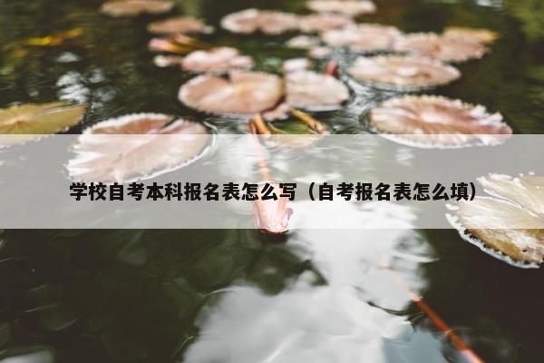 学校自考本科报名表怎么写（自考报名表怎么填）