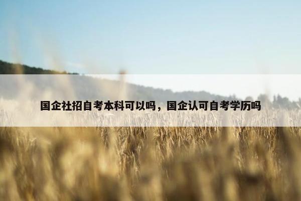 国企社招自考本科可以吗，国企认可自考学历吗