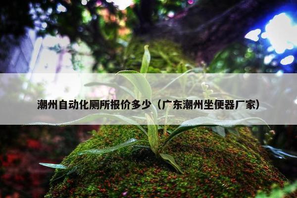 潮州自动化厕所报价多少（广东潮州坐便器厂家）