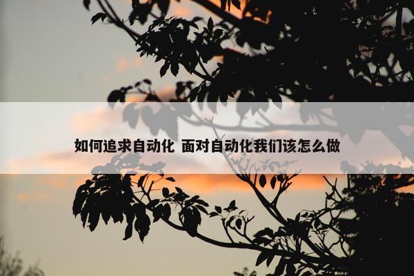 如何追求自动化 面对自动化我们该怎么做