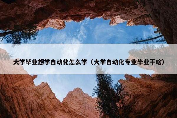 大学毕业想学自动化怎么学（大学自动化专业毕业干啥）