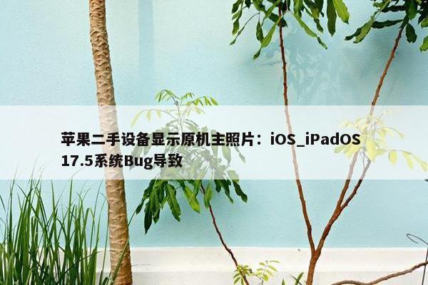 苹果二手设备显示原机主照片：iOS_iPadOS 17.5系统Bug导致
