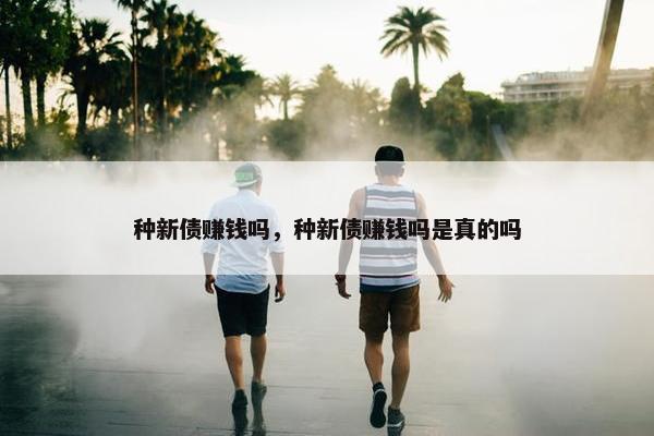 种新债赚钱吗，种新债赚钱吗是真的吗