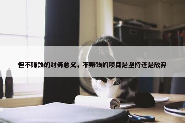 但不赚钱的财务意义，不赚钱的项目是坚持还是放弃