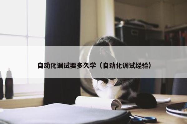 自动化调试要多久学（自动化调试经验）