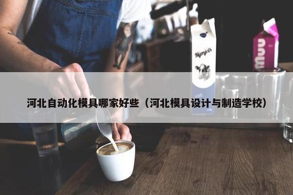 河北自动化模具哪家好些（河北模具设计与制造学校）