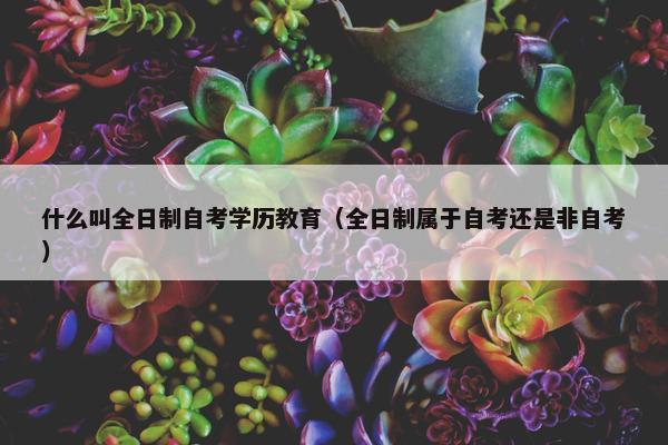 什么叫全日制自考学历教育（全日制属于自考还是非自考）