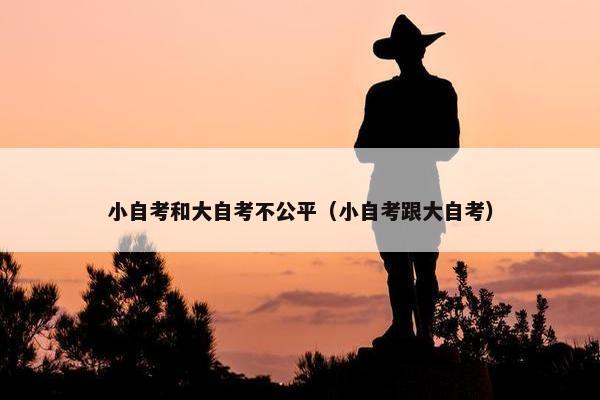 小自考和大自考不公平（小自考跟大自考）