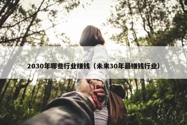 2030年哪些行业赚钱（未来30年最赚钱行业）