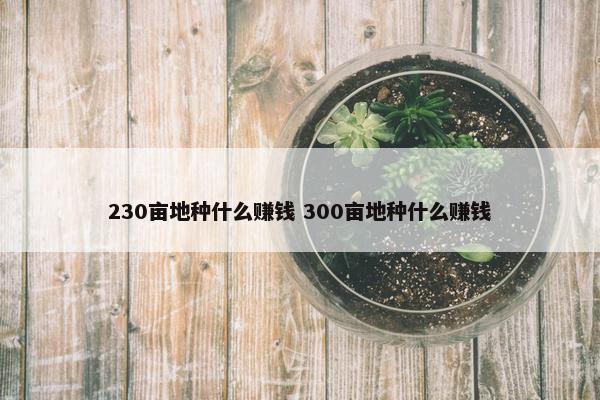 230亩地种什么赚钱 300亩地种什么赚钱