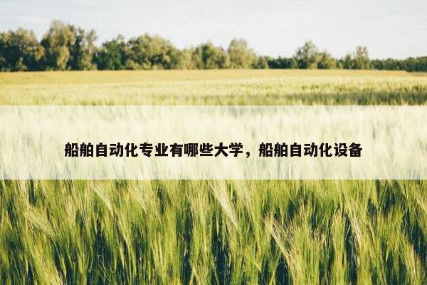 船舶自动化专业有哪些大学，船舶自动化设备