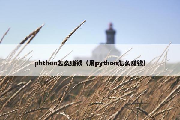 phthon怎么赚钱（用python怎么赚钱）