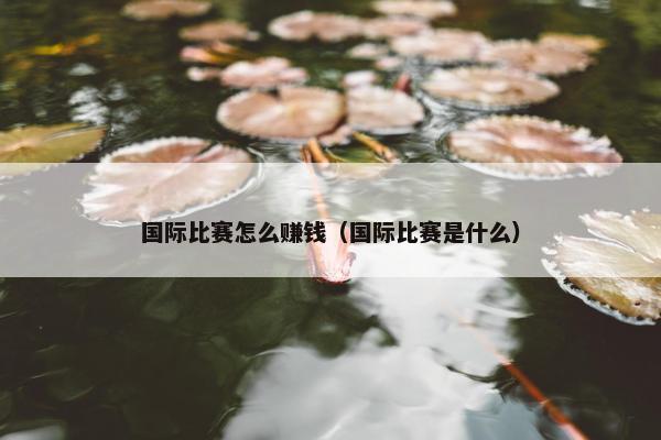 国际比赛怎么赚钱（国际比赛是什么）