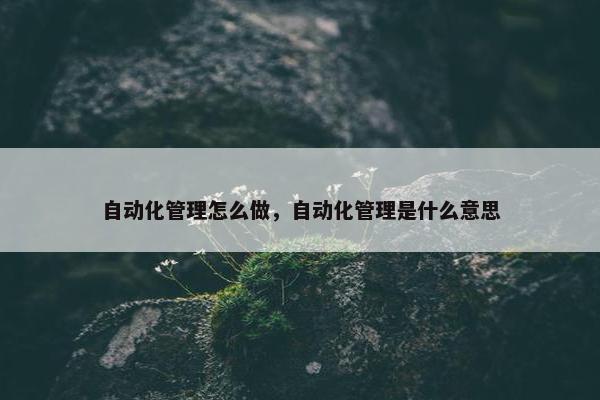 自动化管理怎么做，自动化管理是什么意思