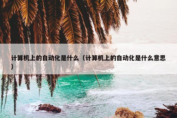 计算机上的自动化是什么（计算机上的自动化是什么意思）