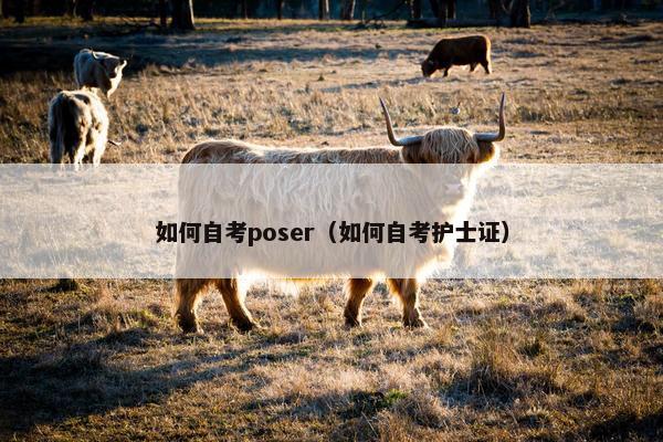 如何自考poser（如何自考护士证）