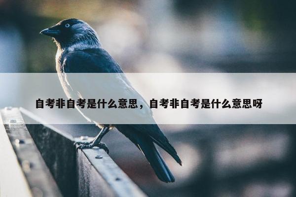 自考非自考是什么意思，自考非自考是什么意思呀