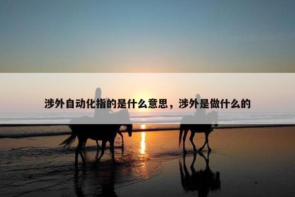 涉外自动化指的是什么意思，涉外是做什么的