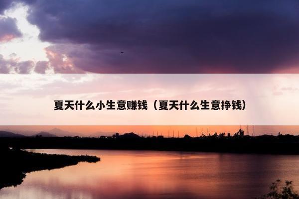 夏天什么小生意赚钱（夏天什么生意挣钱）