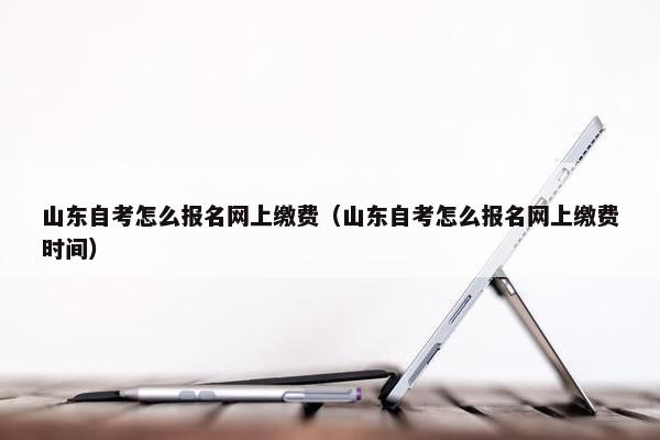 山东自考怎么报名网上缴费（山东自考怎么报名网上缴费时间）